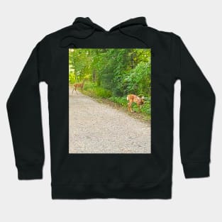 Rockingham Deer Hoodie